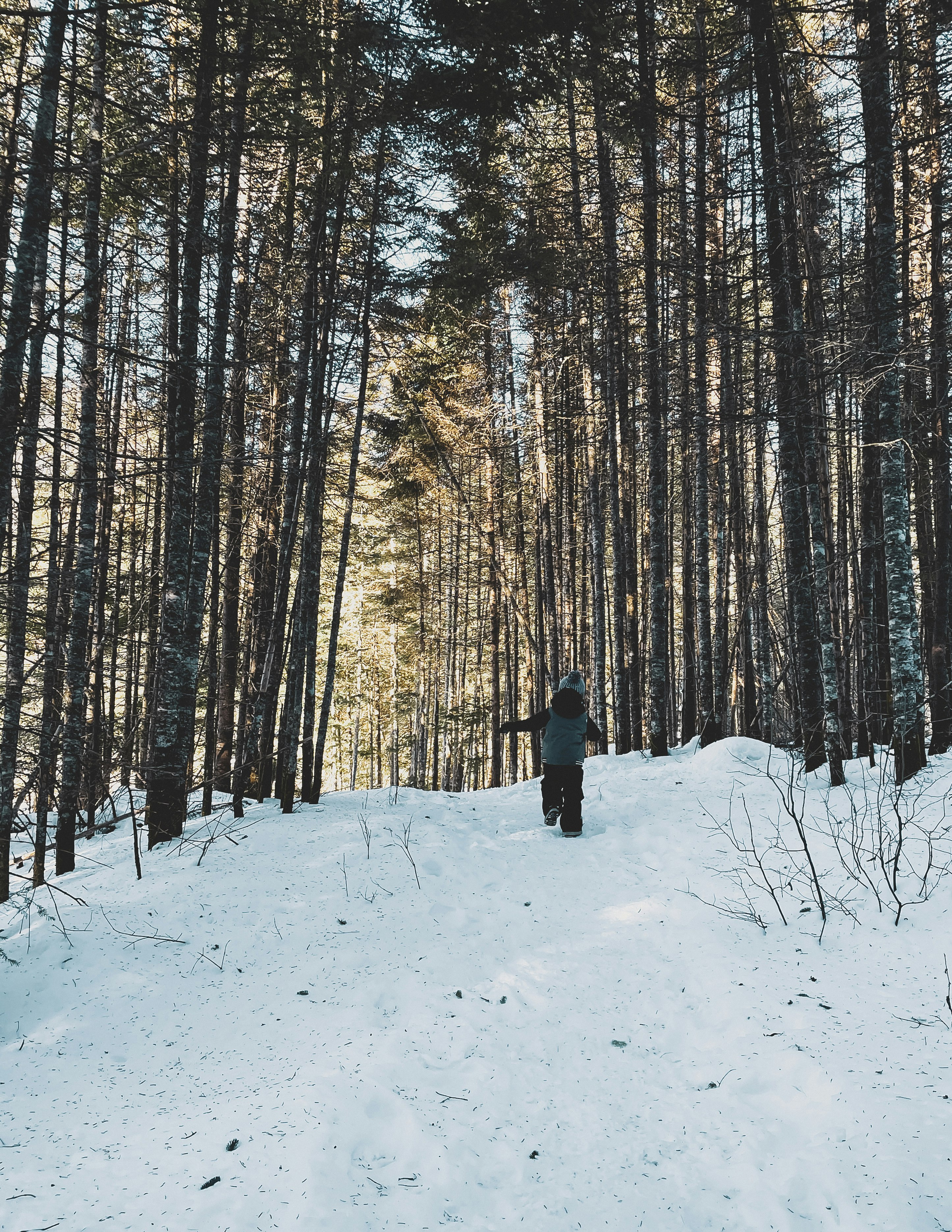 person in black jacket standing on snow covered ground near trees during daytime